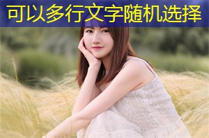 中小微企业在上海社会经济转型中的角色 中小微企业在上海社会经济转型中的角色